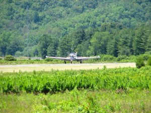 img_8484.jpg