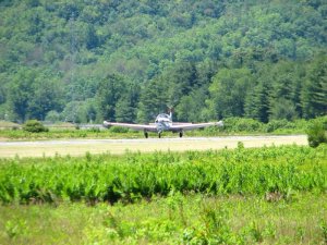 img_8485.jpg