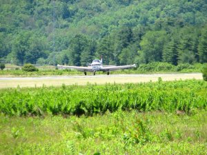 img_8486.jpg