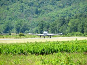 img_8487.jpg