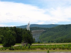 img_8519.jpg