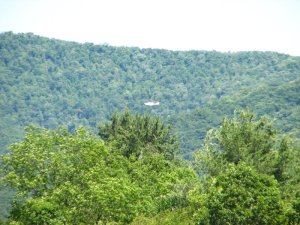img_8528.jpg
