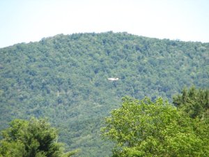 img_8529.jpg