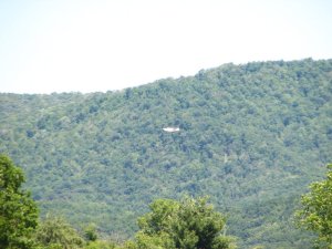 img_8530.jpg