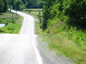 img_8548.jpg