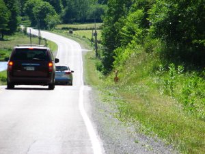 img_8549.jpg
