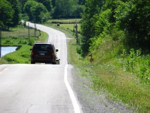 img_8550.jpg