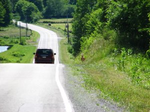 img_8551.jpg