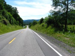 img_8555.jpg