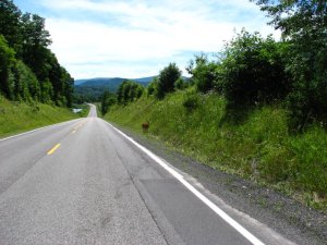 img_8556.jpg