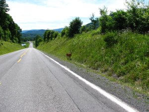 img_8557.jpg