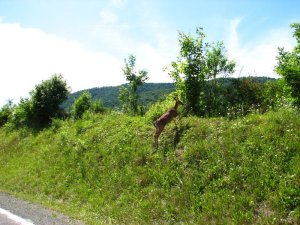 img_8558.jpg