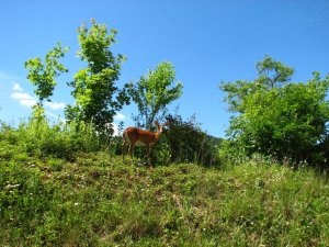 img_8559.jpg
