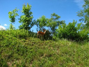 img_8560.jpg