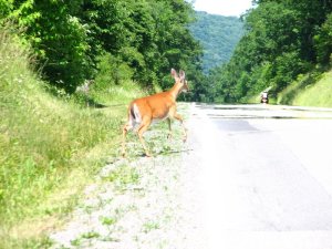 img_8562.jpg