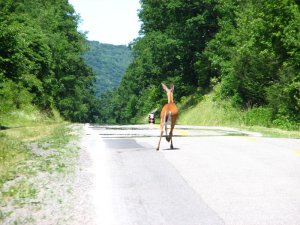 img_8563.jpg