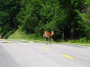 img_8565.jpg