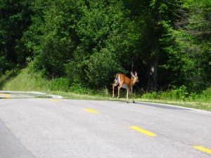 img_8566.jpg
