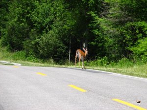 img_8567.jpg