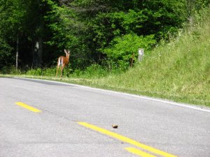 img_8569.jpg