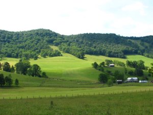 img_8583.jpg