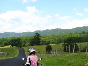 img_8584.jpg