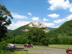 img_8591.jpg