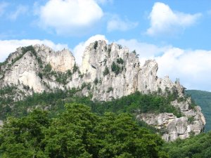 img_8592.jpg