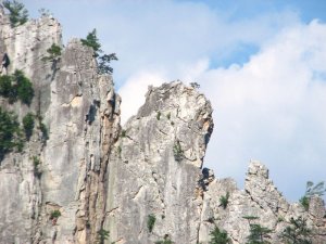 img_8593.jpg
