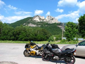 img_8595.jpg