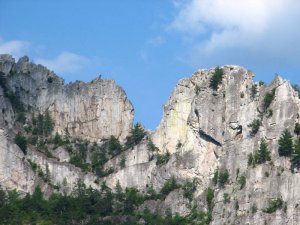 img_8599.jpg