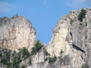 img_8600.jpg