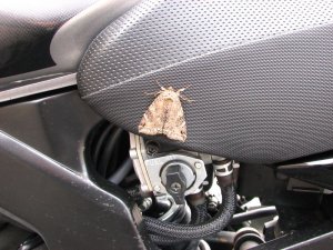 img_8613.jpg