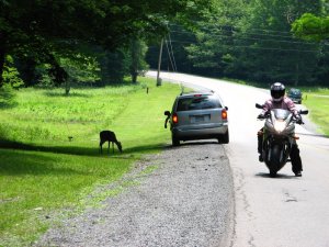 img_8618.jpg