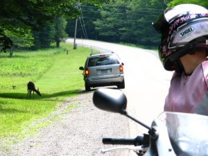 img_8620.jpg