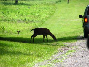 img_8621.jpg
