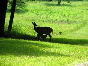 img_8624.jpg
