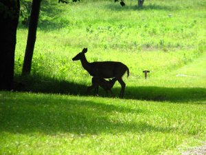 img_8625.jpg