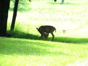 img_8627.jpg
