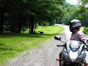 img_8628.jpg