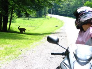 img_8629.jpg