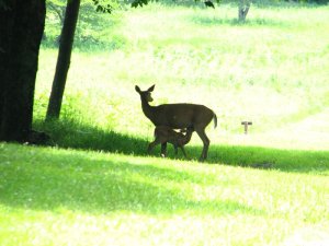 img_8630.jpg