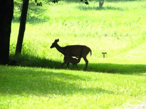img_8631.jpg