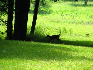 img_8632.jpg