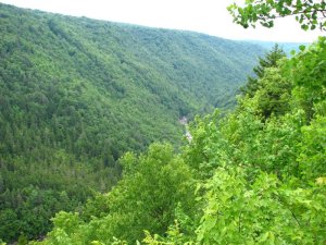 img_8641.jpg
