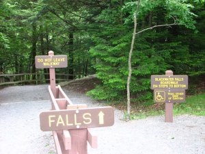 img_8677.jpg