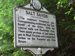 img_8679.jpg