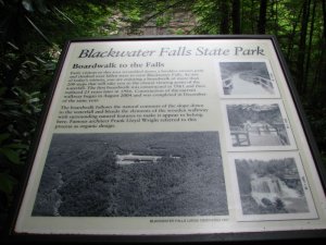 img_8682.jpg