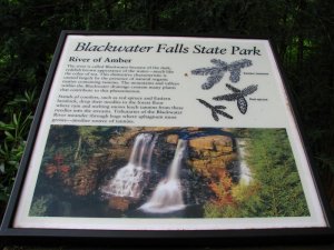 img_8683.jpg