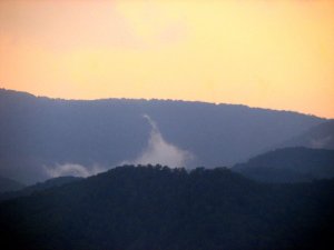 img_8742.jpg